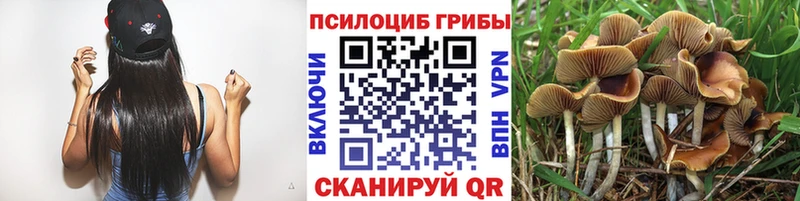 Псилоцибиновые грибы прущие грибы  Купить  Новоульяновск 